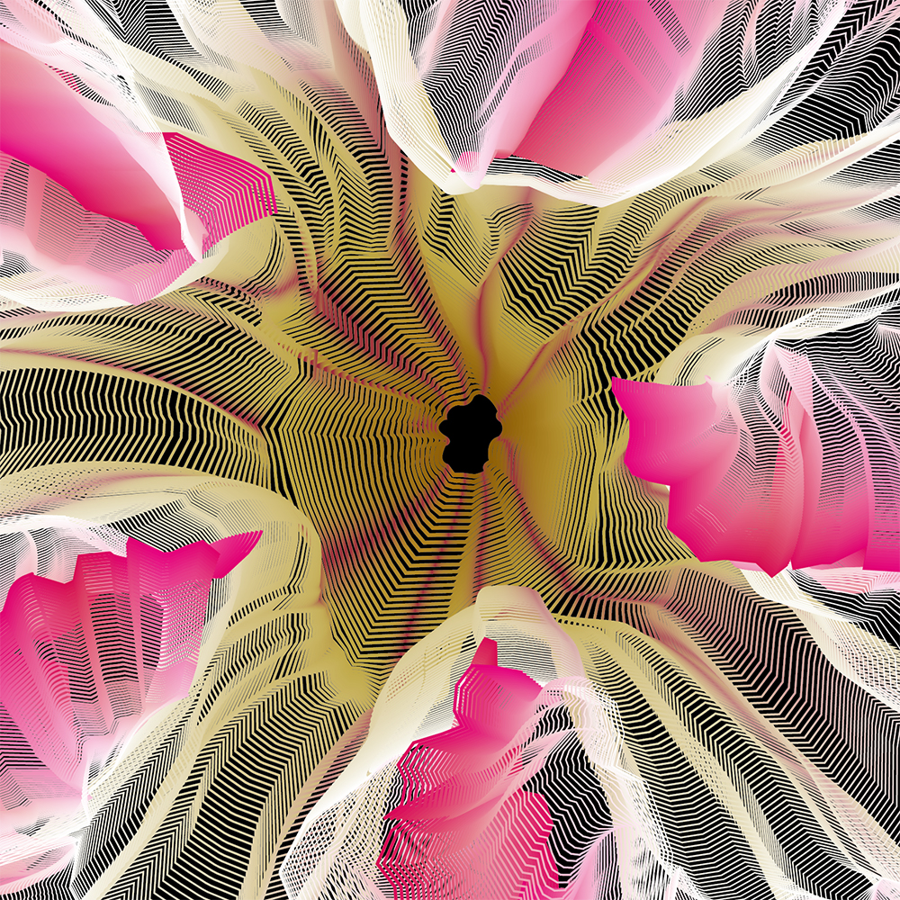 Desert Rose - Vector Illustration