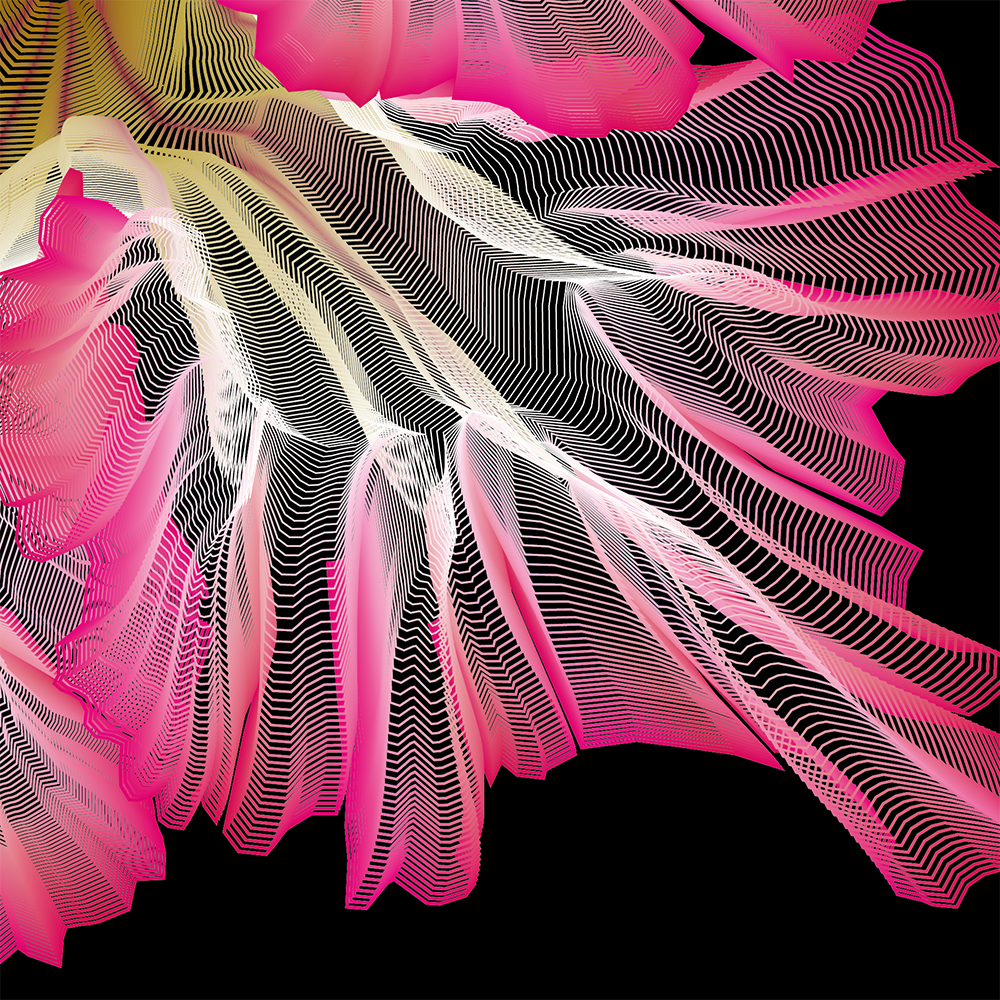 Desert Rose - Vector Illustration