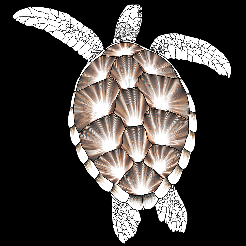 Albino Turtle - Vector Illustration