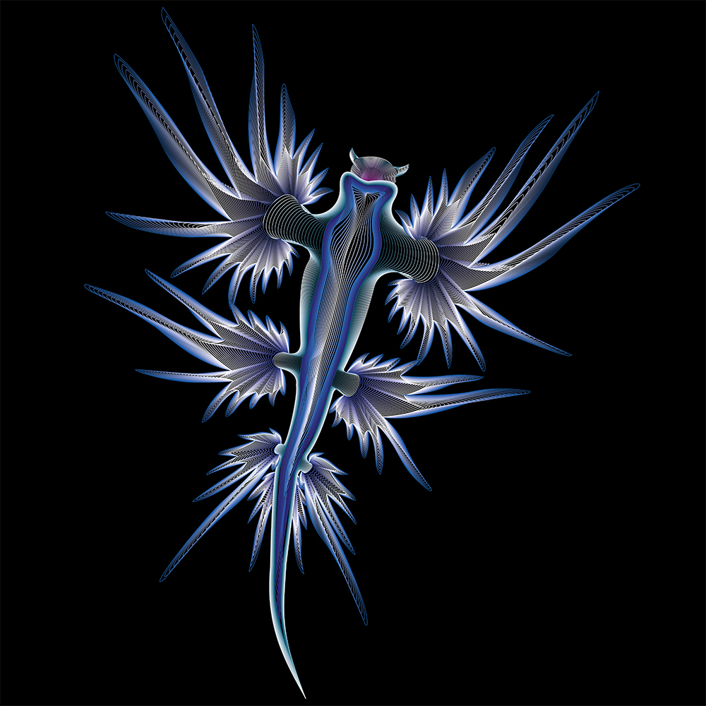 Sea Angel - Vector Illustration